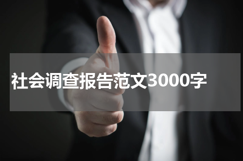 社会调查报告范文3000字