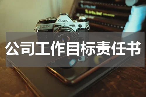 公司工作目标责任书