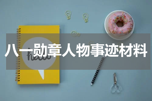 八一勋章人物事迹材料