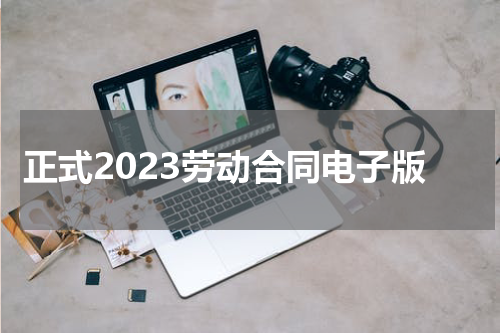 正式2023劳动合同电子版