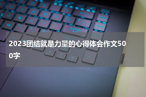 2023团结就是力量的心得体会作文500字
