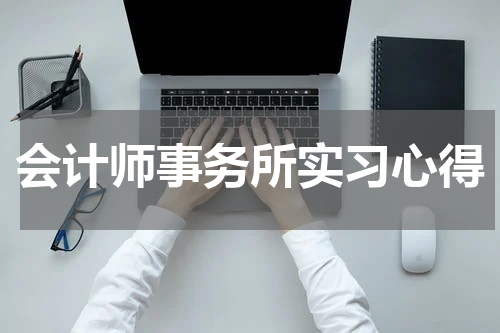 会计师事务所实习心得