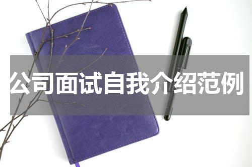 公司面试自我介绍范例