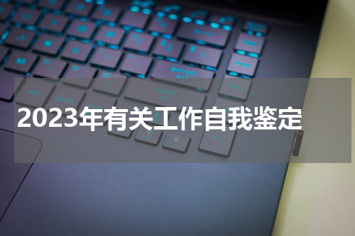 2023年有关工作自我鉴定