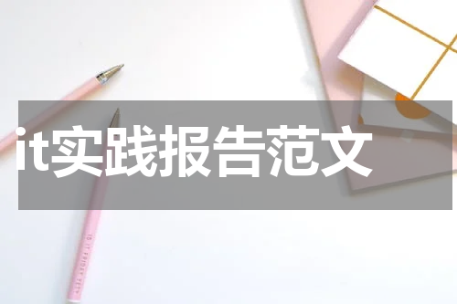 it实践报告范文