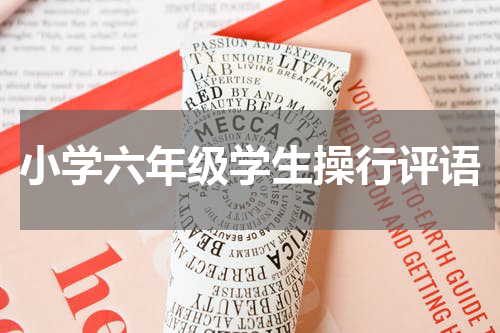 小学六年级学生操行评语