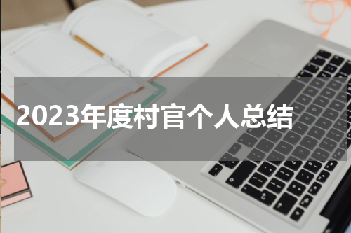 2023年度村官个人总结