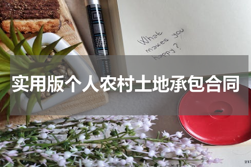 实用版个人农村土地承包合同