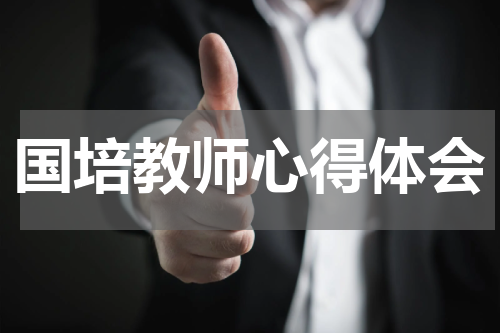 国培教师心得体会