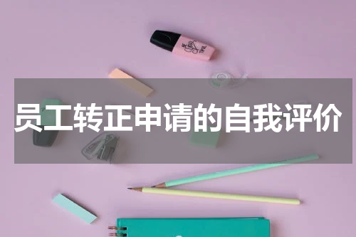 员工转正申请的自我评价