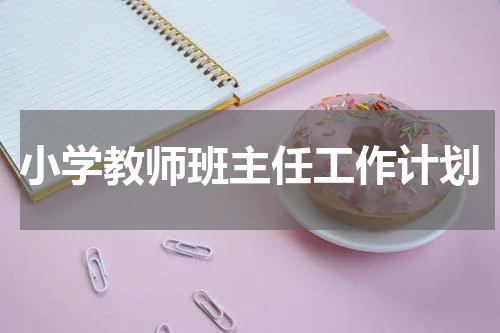 小学教师班主任工作计划