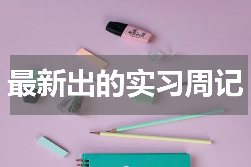 最新出的实习周记