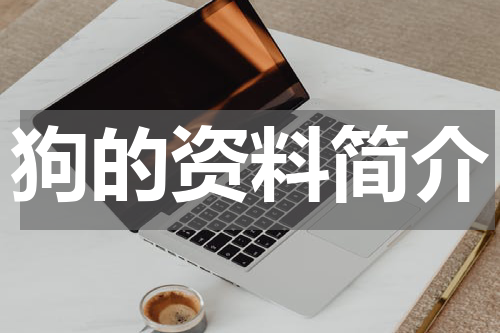 狗的资料简介