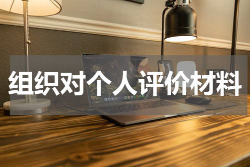 组织对个人评价材料