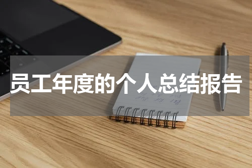 员工年度的个人总结报告