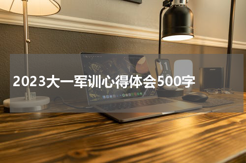 2023大一军训心得体会500字