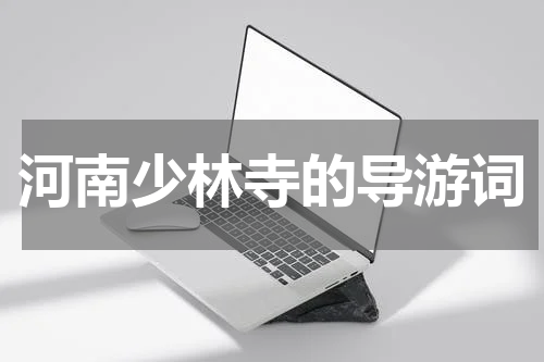 河南少林寺的导游词