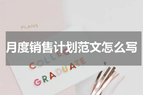 月度销售计划范文怎么写