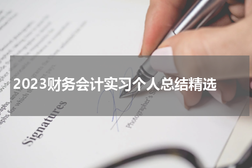 2023财务会计实习个人总结精选