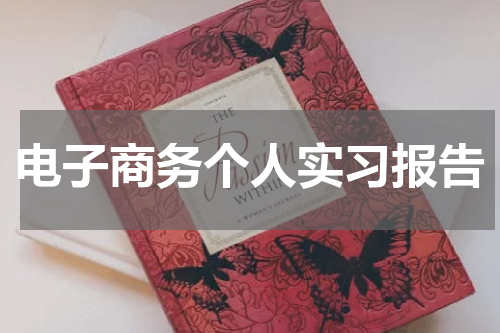 电子商务个人实习报告