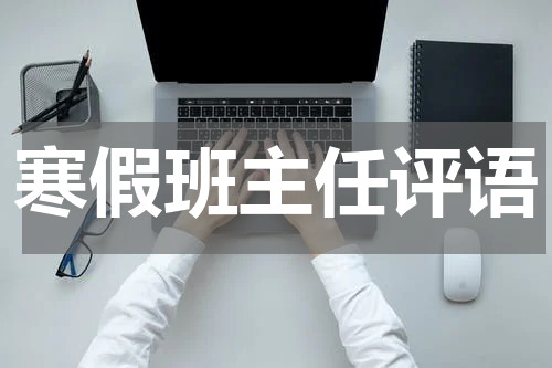 寒假班主任评语