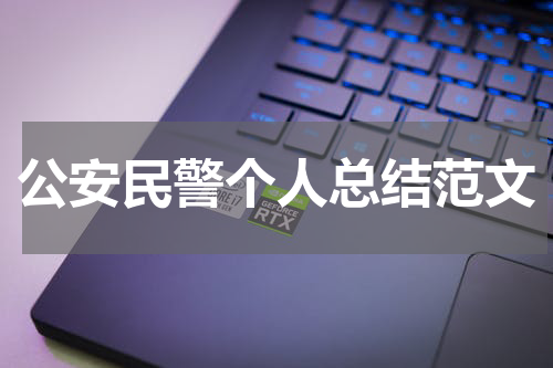 公安民警个人总结范文