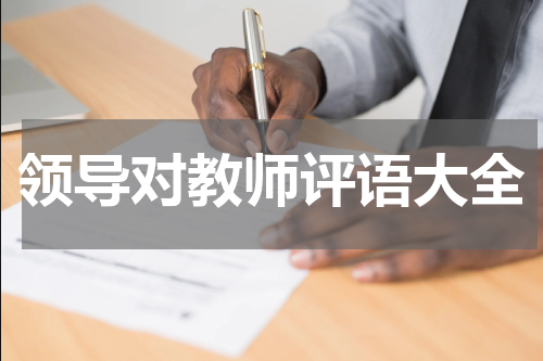 领导对教师评语大全