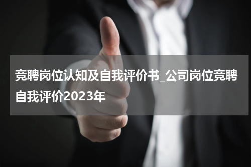 竞聘岗位认知及自我评价书_公司岗位竞聘自我评价2023年