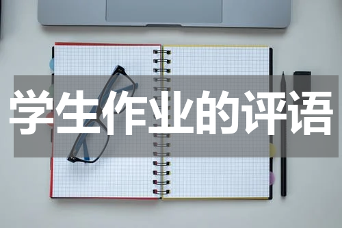 学生作业的评语