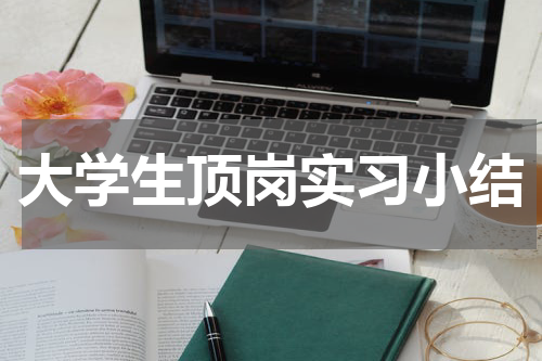 大学生顶岗实习小结