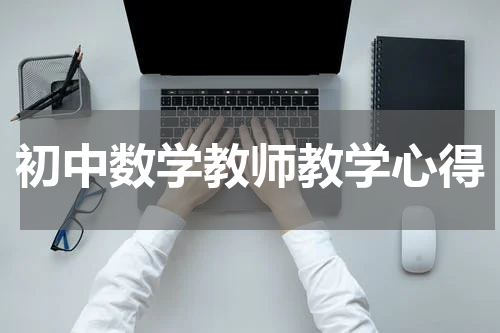 初中数学教师教学心得