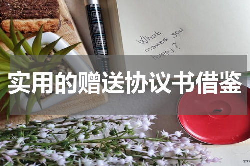 实用的赠送协议书借鉴