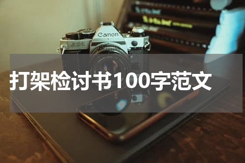 打架检讨书100字范文