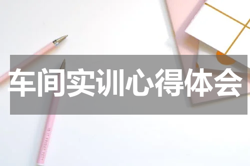 车间实训心得体会
