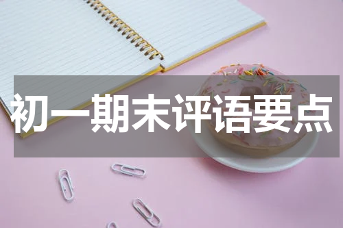 初一期末评语要点