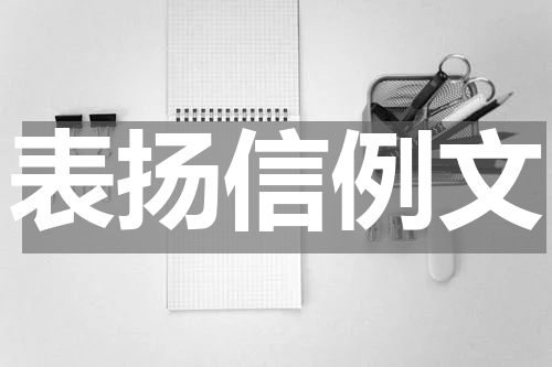 表扬信例文