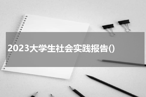 2023大学生社会实践报告()
