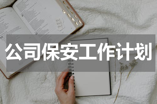 公司保安工作计划