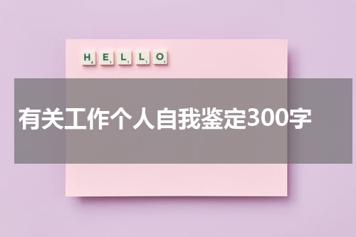 有关工作个人自我鉴定300字