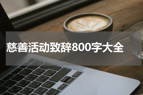 慈善活动致辞800字大全