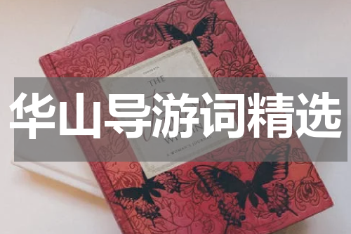 华山导游词精选