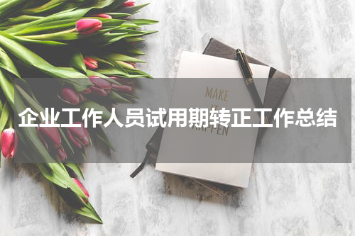 企业工作人员试用期转正工作总结