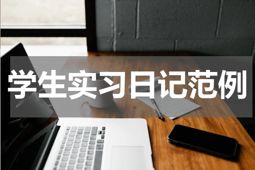 学生实习日记范例