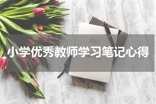 小学优秀教师学习笔记心得