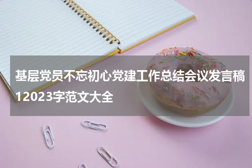 基层党员不忘初心党建工作总结会议发言稿12023字范文大全