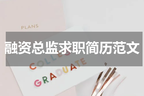 融资总监求职简历范文