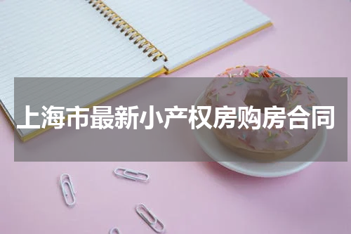 上海市最新小产权房购房合同