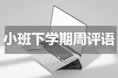 小班下学期周评语