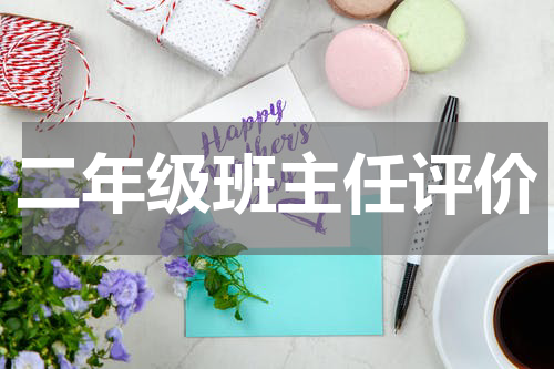 二年级班主任评价