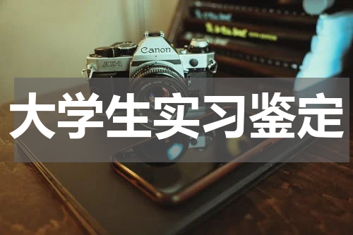 大学生实习鉴定